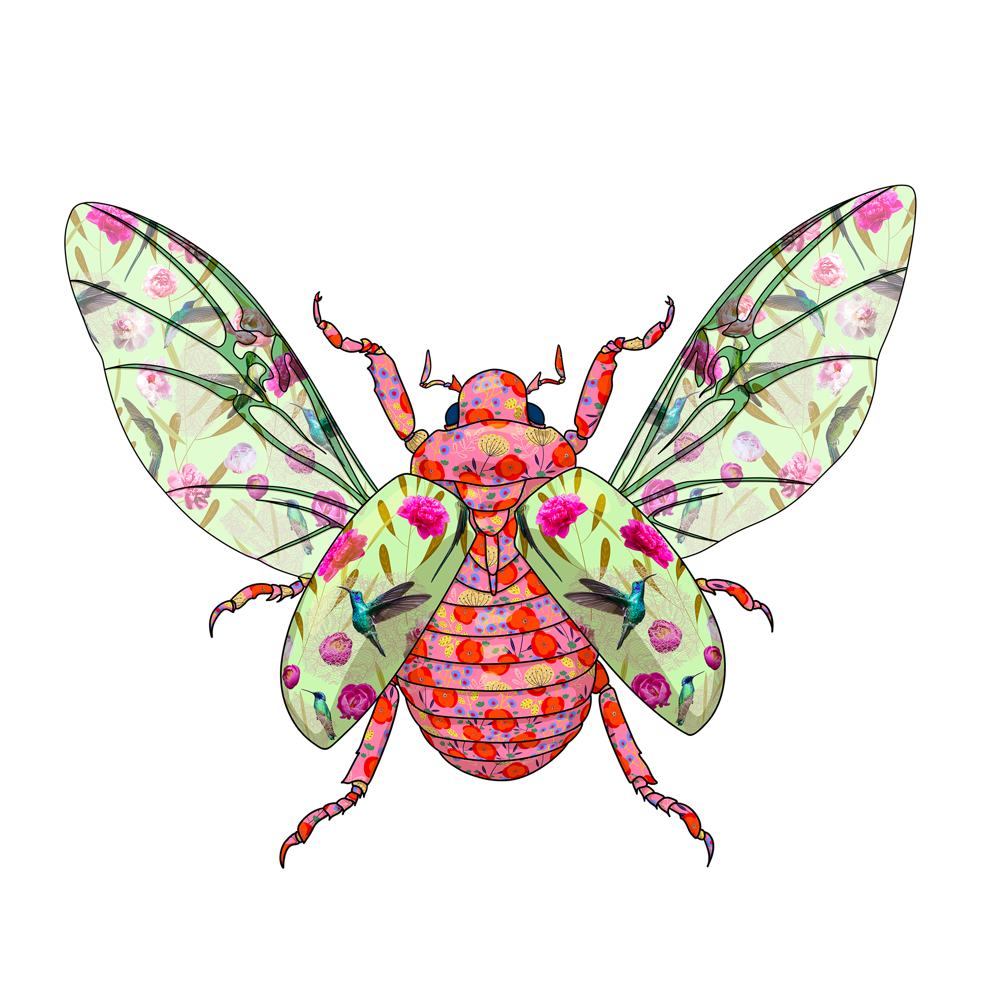 Jewel Scarab Beetle - limited edition fine art print