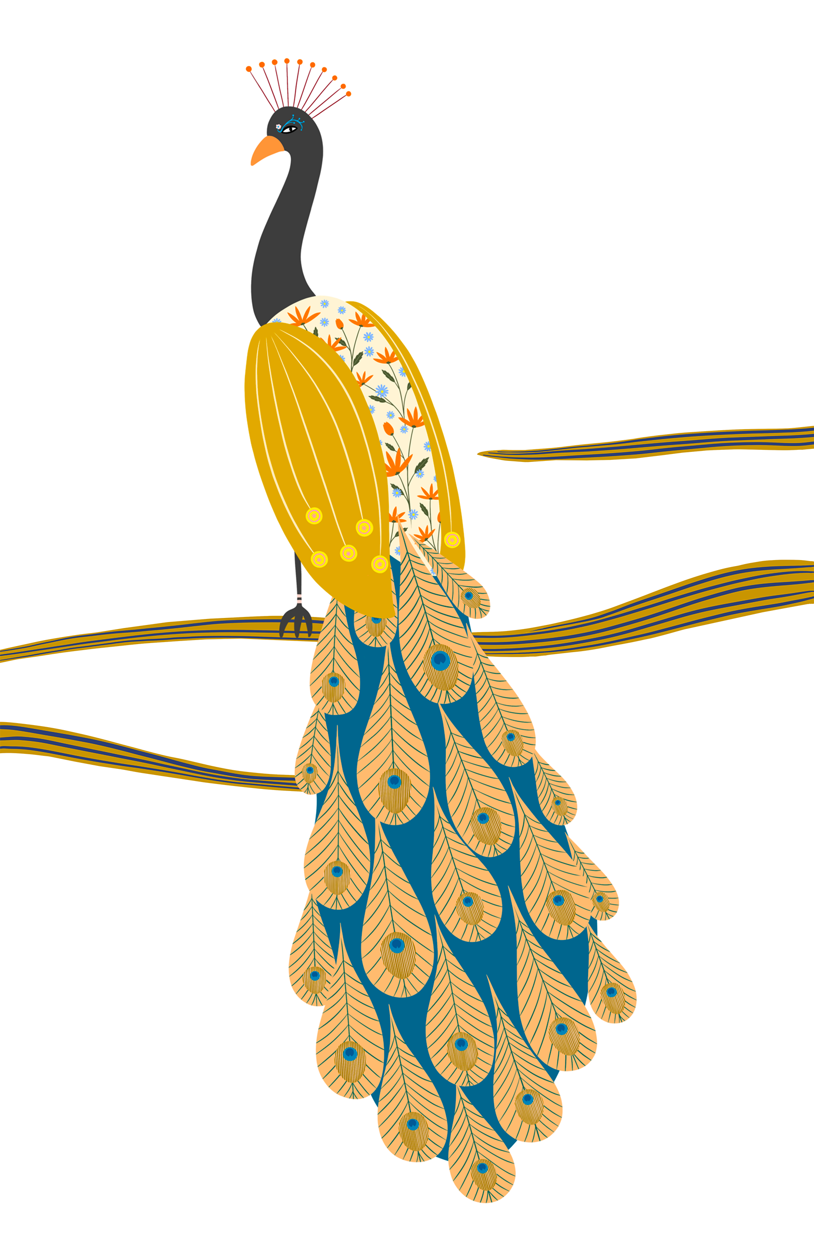 Lone Peacock - limited edition fine art print